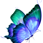 blue butterfly